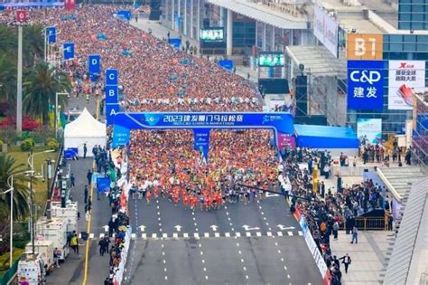 result xiamen 12|2024 Results.